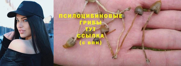 герыч Пересвет