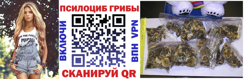 Псилоцибиновые грибы Magic Shrooms  MEGA сайт  Калининград 