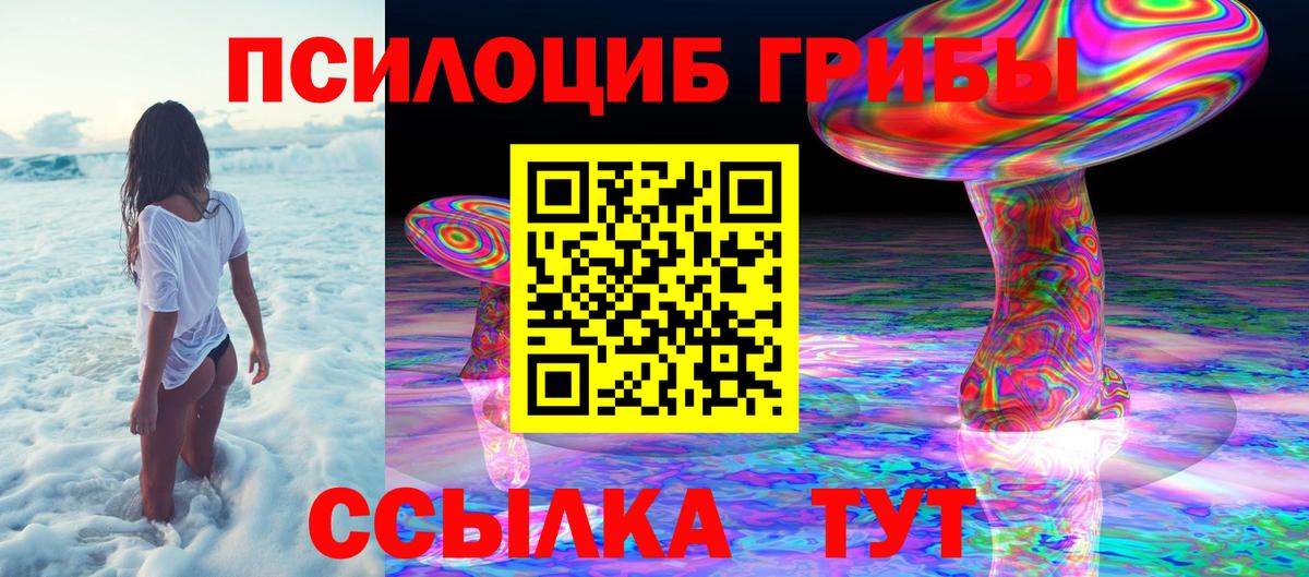 Псилоцибиновые грибы Psilocybe Калининград